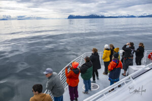 A group of attendees gather on a deck on the front of the boat looking toward Bligh Reef.